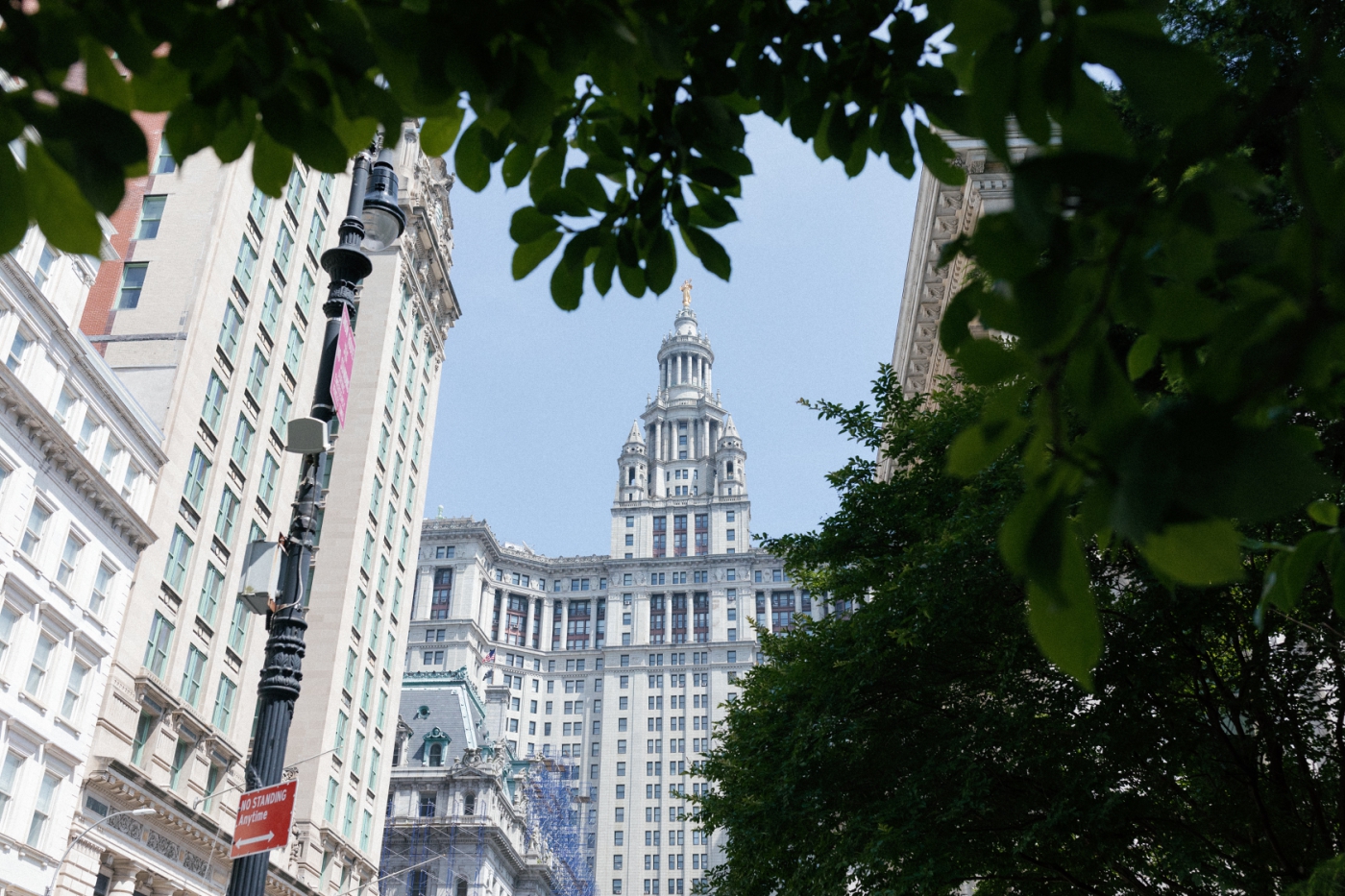 Manhattan City Hall viewed from the ground beneath tree cover